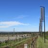 Отель Verona Vineyard Cottage в Поколбине