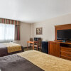 Отель Comfort Inn & Suites, фото 12