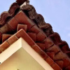 Отель Apartamentos Fuente De La Salud, фото 1