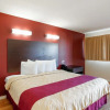 Отель Red Roof Inn Mojave, фото 5