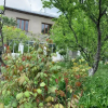Отель Villa David, фото 2