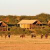 Отель Suricate Tented Lodge, фото 13