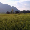 Отель The Little House in the Rice Fields, фото 15