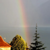 Отель Lavaux Homestay, фото 9
