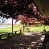 Отель Goolwa Riverport Motel в Гулва-Норт