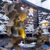Отель Yushijin Homestay, фото 14