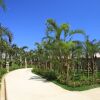 Отель Grandvrio Resort Ishigakijima Villa Garden-ROUTE-INN HOTELS-, фото 22