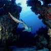 Отель Andros Beach Club, фото 28