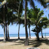 Отель Sugar Beach House - Sipalay, фото 13