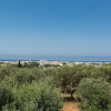 Отель Villa Fortunato, фото 16