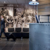 Отель Thon Hotel Rotterdam, фото 15