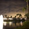 Отель Palm Creek Golf and RV Resort 55 plus, фото 18