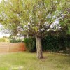 Отель House with 8 Bedrooms in Sardón de Duero, with Enclosed Garden And Wifi, фото 19