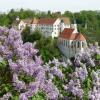 Отель Schloss Haigerloch, фото 14