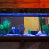 Отель Geeky Gecko - Hostel, фото 13