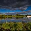 Отель The Old Barn, фото 1