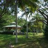 Отель Sunset Heal Jamaica, фото 6