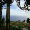 Отель Palheiro Cavalinho - ETC Madeira, фото 9