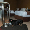Отель Room Motels Kingaroy, фото 21