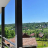 Отель Transylvania Apartments, фото 5