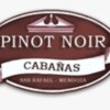 Отель Cabañas Pinot Noir, фото 26