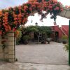 Отель Casas Rurales Los Gavilanes, фото 19