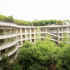 Отель Huangshan Four Seasons Junsheng Hotel, фото 1