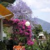 Отель Locanda Dei Fiori в Лаигуэлье