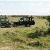 Отель Kenya Safari – Kenya Classic Keekorok (6 Nights), фото 5