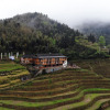 Отель Dragon's Backbone Rice Terraces Hotel, фото 14