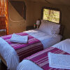 Отель Shindzela Tented Safari Camp, фото 13