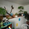 Отель Apartment With 2 Bedrooms in Mali Lošinj, With Wonderful sea View and, фото 8