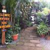 Отель Tortuguero Adventures Guesthouse, фото 1