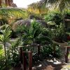 Отель Bamboo Bonaire by Boutique Bonaire Unique Resorts, фото 23