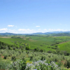 Отель Podere SantElisa (PNC157), фото 16