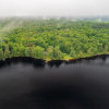Отель Bear Essentials Lakefront Hideaway, фото 20
