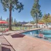 Отель Cozy Placerville Cottage w/ Pool on Livestock Farm, фото 6