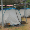 Отель Jungle Nest Homestay, фото 21