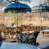 Отель Safari Moon Luxury Bush Lodge, фото 15