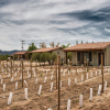 Отель Villas en Los Retoños, фото 7