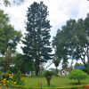 Отель Araucaria Residence, фото 16