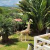 Отель Studio In Sainte Anne With Shared Pool Enclosed Garden And Wifi 3 Km From The Beach, фото 8