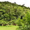 Отель Vale Verde Penedo, фото 11