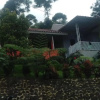 Отель Villa Patih, фото 8