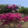 Отель BO025 Bodrum, фото 9