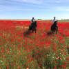 Отель Posada Rural La Corbera, фото 15