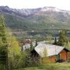 Отель Grande Denali Lodge, фото 18