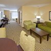 Отель Holiday Inn Express Hotel & Suites Richwood-Cincinnati South, an IHG Hotel, фото 5