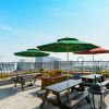 Отель Paulownia Hostel & Guest House, фото 14