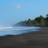 Отель Laguna Lodge Tortuguero, фото 5